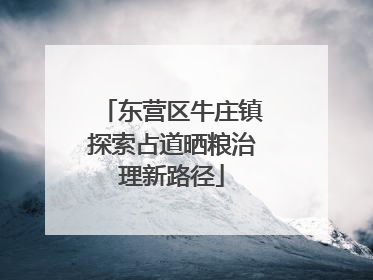 东营区牛庄镇探索占道晒粮治理新路径
