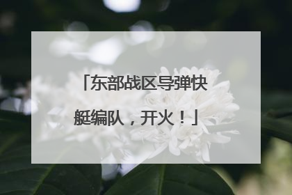 东部战区导弹快艇编队，开火！