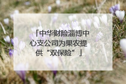 中华财险淄博中心支公司为果农提供“双保险”