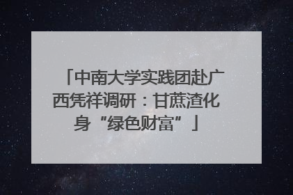 中南大学实践团赴广西凭祥调研：甘蔗渣化身“绿色财富”
