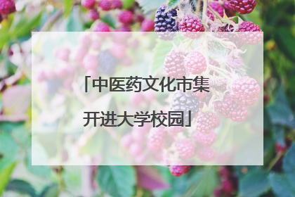 中医药文化市集开进大学校园