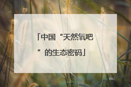 中国“天然氧吧”的生态密码
