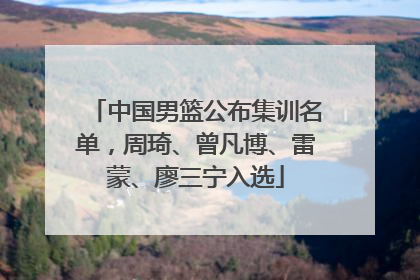中国男篮公布集训名单，周琦、曾凡博、雷蒙、廖三宁入选