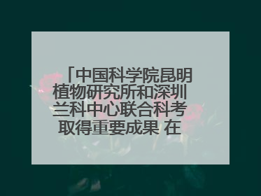 中国科学院昆明植物研究所和深圳兰科中心联合科考取得重要成果 在神农架发现两种“国保”级兰花