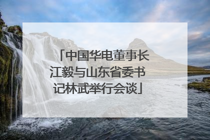 中国华电董事长江毅与山东省委书记林武举行会谈