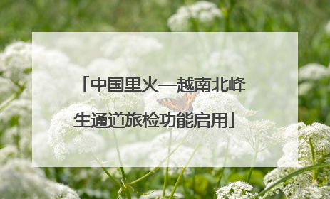 中国里火—越南北峰生通道旅检功能启用