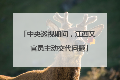 中央巡视期间，江西又一官员主动交代问题