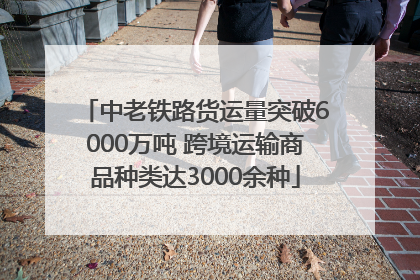 中老铁路货运量突破6000万吨 跨境运输商品种类达3000余种