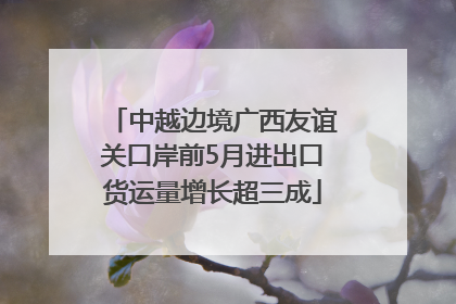 中越边境广西友谊关口岸前5月进出口货运量增长超三成