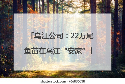 乌江公司：22万尾鱼苗在乌江“安家”
