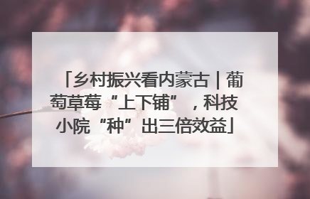 乡村振兴看内蒙古｜葡萄草莓“上下铺”，科技小院“种”出三倍效益