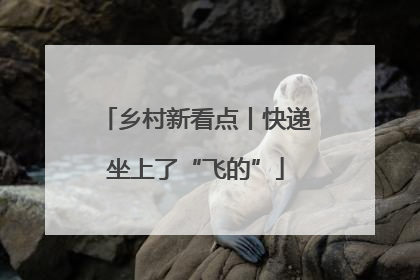 乡村新看点丨快递坐上了“飞的”
