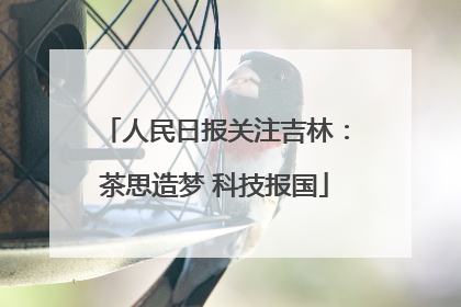 人民日报关注吉林：茶思造梦 科技报国