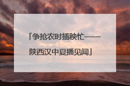 争抢农时插秧忙——陕西汉中夏播见闻