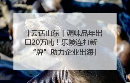 云话山东｜调味品年出口20万吨！乐陵连打新“牌”助力企业出海