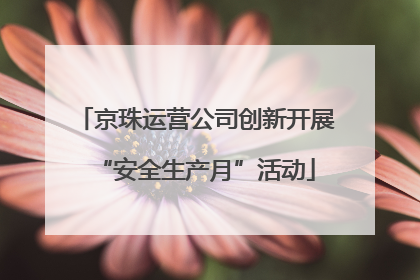 京珠运营公司创新开展“安全生产月”活动