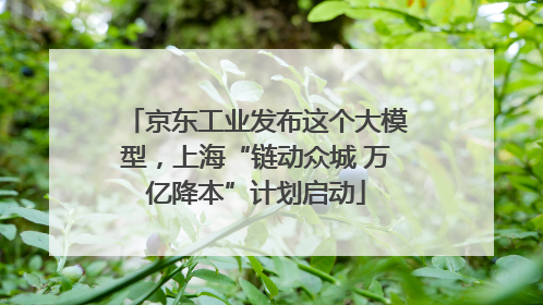 京东工业发布这个大模型，上海“链动众城 万亿降本”计划启动
