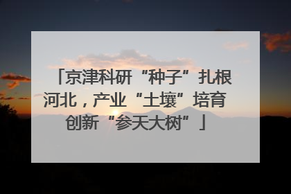 京津科研“种子”扎根河北，产业“土壤”培育创新“参天大树”