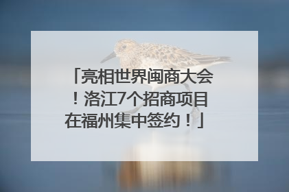 亮相世界闽商大会！洛江7个招商项目在福州集中签约！