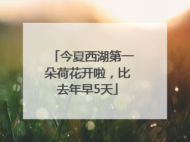 今夏西湖第一朵荷花开啦，比去年早5天