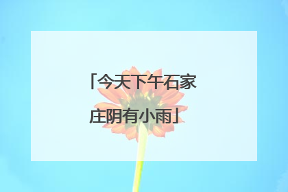 今天下午石家庄阴有小雨