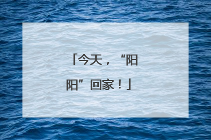 今天，“阳阳”回家！