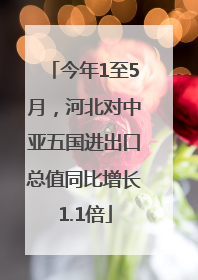 今年1至5月，河北对中亚五国进出口总值同比增长1.1倍