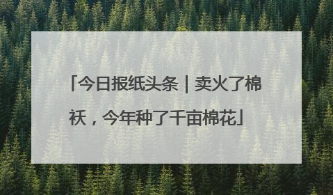 今日报纸头条｜卖火了棉袄，今年种了千亩棉花