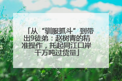 从“驯服抓斗”到带出9徒弟：赵树青的精准操作，托起同江口岸千万吨过货量