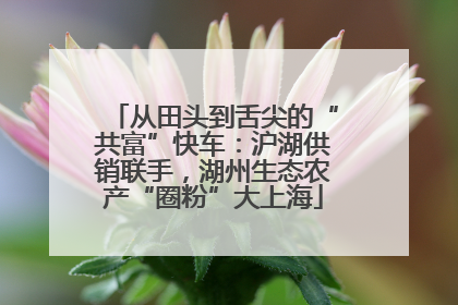从田头到舌尖的“共富”快车：沪湖供销联手，湖州生态农产“圈粉”大上海