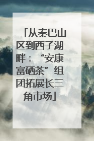 从秦巴山区到西子湖畔：“安康富硒茶”组团拓展长三角市场