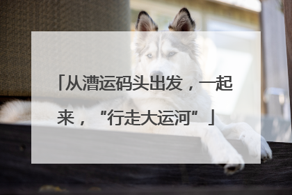 从漕运码头出发，一起来，“行走大运河”