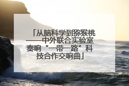 从脑科学到猕猴桃——中外联合实验室奏响“一带一路”科技合作交响曲