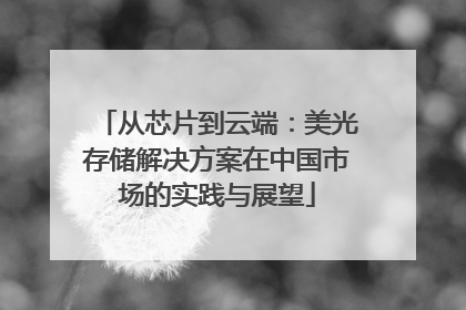 从芯片到云端：美光存储解决方案在中国市场的实践与展望