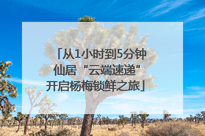 从1小时到5分钟 仙居“云端速递”开启杨梅锁鲜之旅