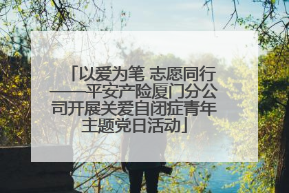以爱为笔 志愿同行——平安产险厦门分公司开展关爱自闭症青年主题党日活动