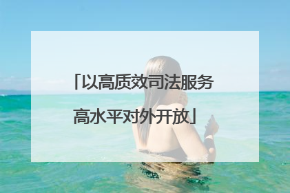 以高质效司法服务高水平对外开放