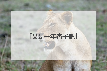 又是一年杏子肥