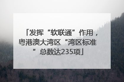 发挥“软联通”作用，粤港澳大湾区“湾区标准”总数达235项