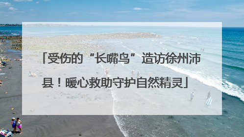 受伤的“长嘴鸟”造访徐州沛县！暖心救助守护自然精灵