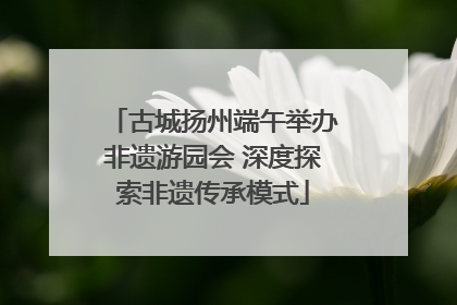古城扬州端午举办非遗游园会 深度探索非遗传承模式