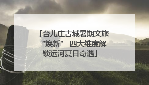 台儿庄古城暑期文旅“焕新” 四大维度解锁运河夏日奇遇