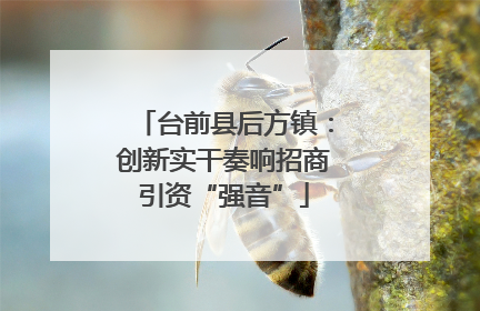 台前县后方镇：创新实干奏响招商引资“强音”