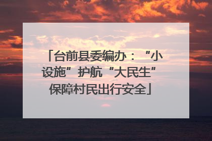 台前县委编办：“小设施”护航“大民生” 保障村民出行安全