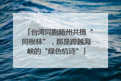 台湾同胞随州共植“同根林”，那是跨越海峡的“绿色情诗”