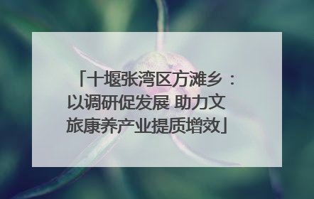 十堰张湾区方滩乡：以调研促发展 助力文旅康养产业提质增效