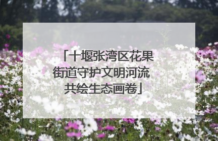 十堰张湾区花果街道守护文明河流 共绘生态画卷