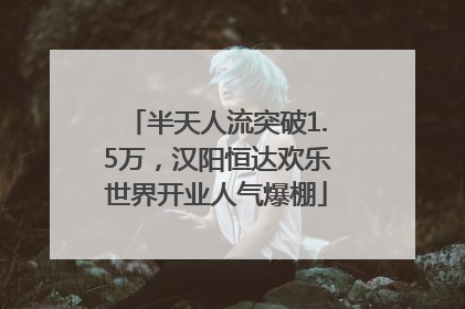 半天人流突破1.5万，汉阳恒达欢乐世界开业人气爆棚