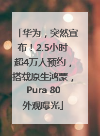 华为，突然宣布！2.5小时超4万人预约，搭载原生鸿蒙，Pura 80外观曝光