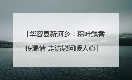 华容县新河乡：粽叶飘香传温情 走访慰问暖人心